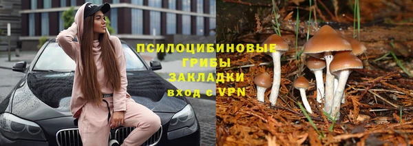 стафф Навашино