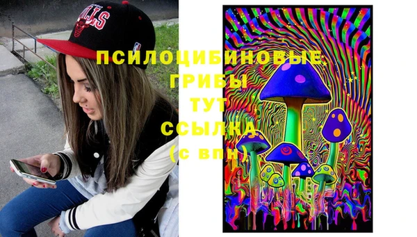 PSILOCYBIN Надым