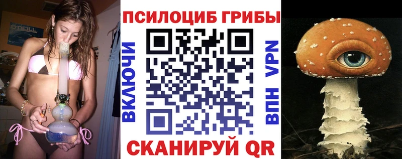 кракен зеркало  что такое наркотик  Волгоград  Галлюциногенные грибы Cubensis 